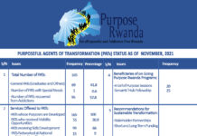 PURPOSEFUL AGENTS OF TRANSFORMATION AS CRITICAL TOOL FOR DEVELOPMENT