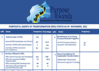 PURPOSEFUL AGENTS OF TRANSFORMATION AS CRITICAL TOOL FOR DEVELOPMENT